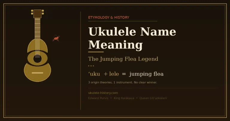 Ukulele name meaning illustrated — geometric ukulele silhouette with Hawaiian etymology ʻuku + lele = jumping flea