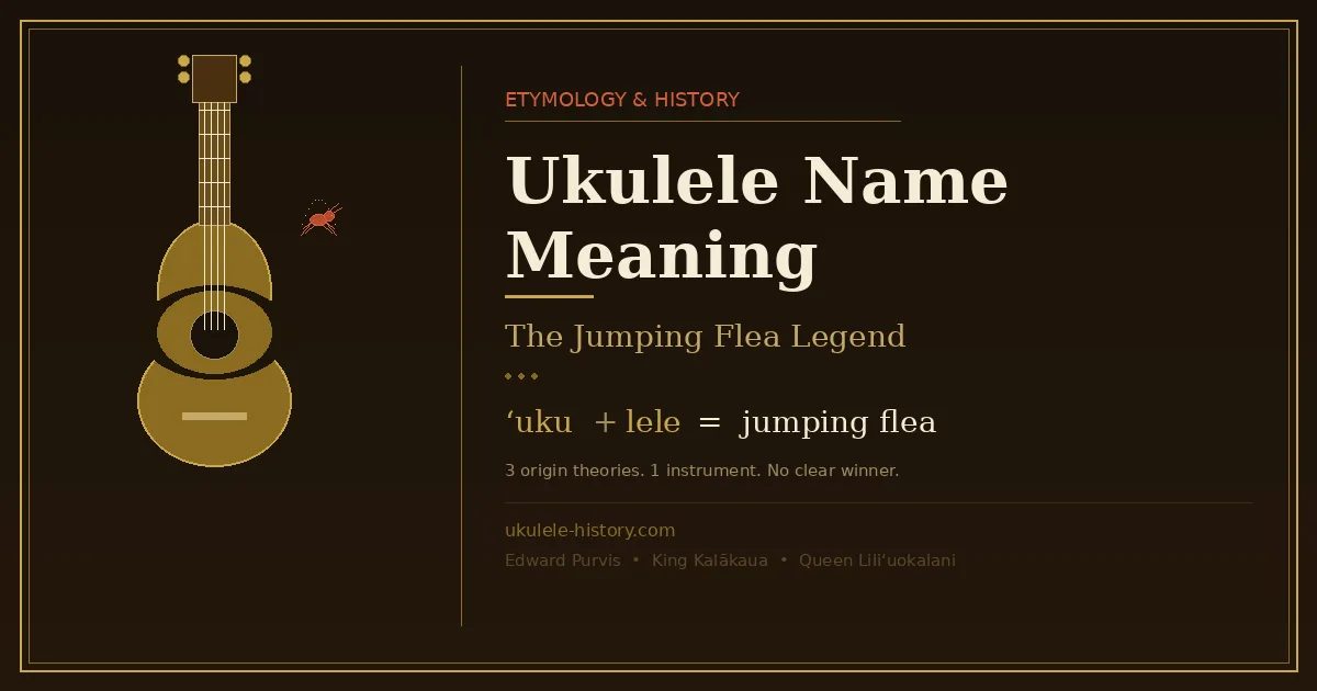 Ukulele name meaning illustrated — geometric ukulele silhouette with Hawaiian etymology ʻuku + lele = jumping flea