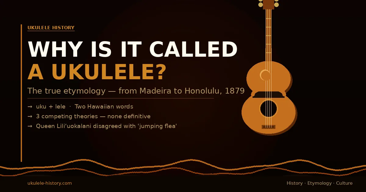 Why is it called a ukulele — editorial illustration showing ukulele silhouette with Hawaiian etymology origins